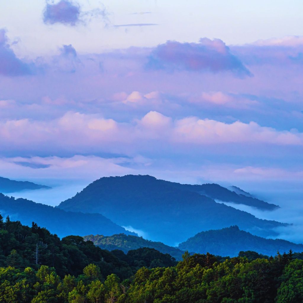 Great smoky mountains purple clouds over tree-covered mountains