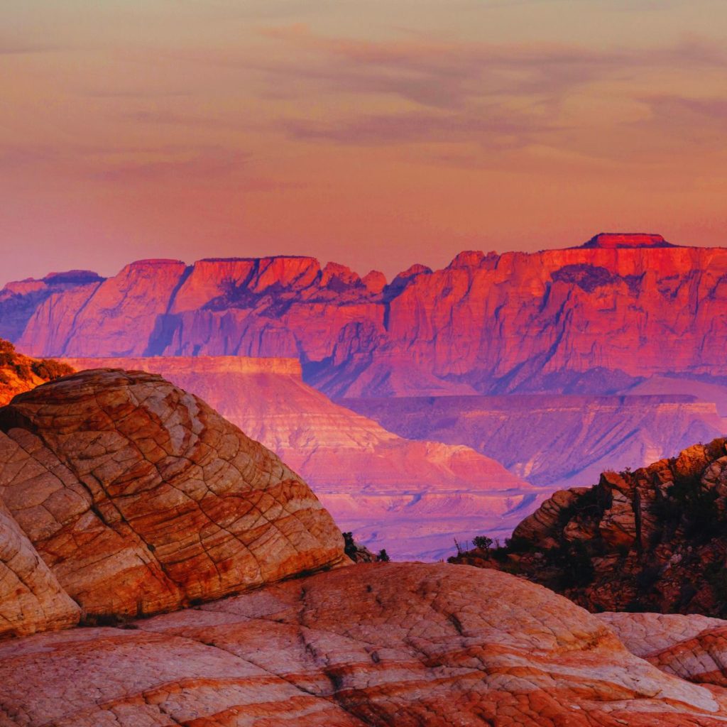 zion national park that's pink with sunset colors, canyons and layered sandstone